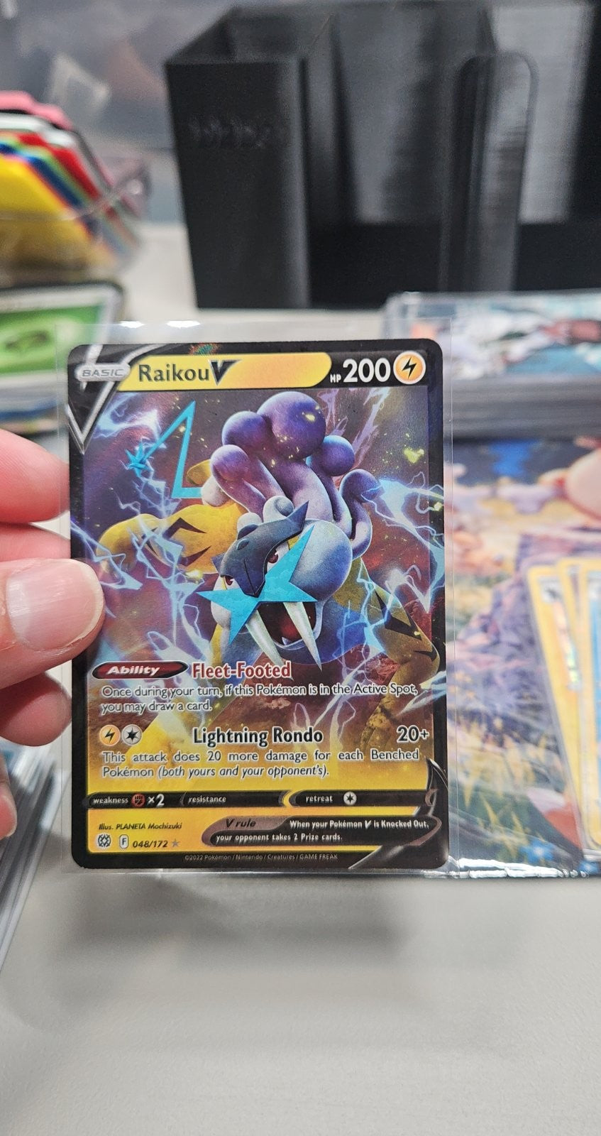 Raikou V - 2023 (Shao Tong Yen)